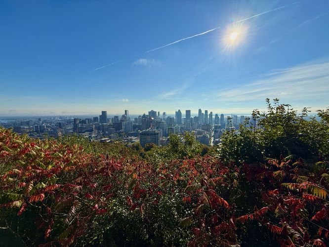 View of downtown Montreal from Kondiaronk Belvedere
