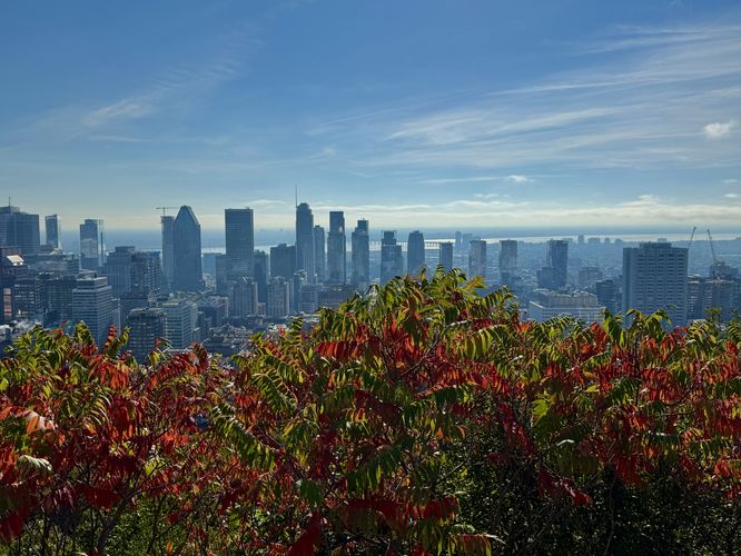 View of downtown Montreal from Kondiaronk Belvedere