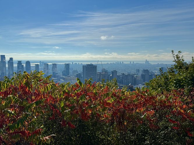 View of downtown Montreal from Kondiaronk Belvedere