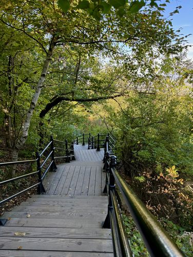 Staircase leads down Mount Royal