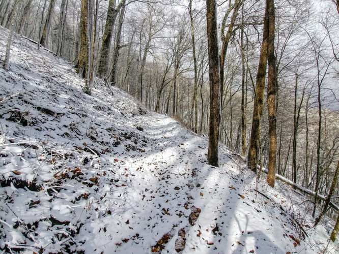 Picture 20 of Mount Sterling Hike 111917