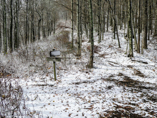 Picture 14 of Mount Sterling Hike 111917