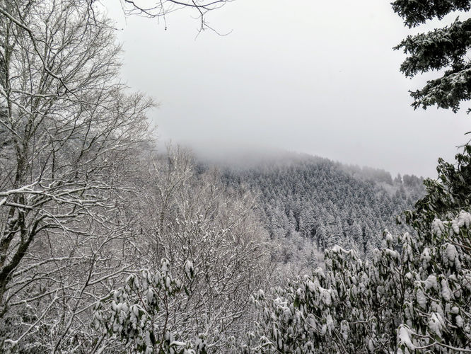 Picture 10 of Mount Sterling Hike 111917