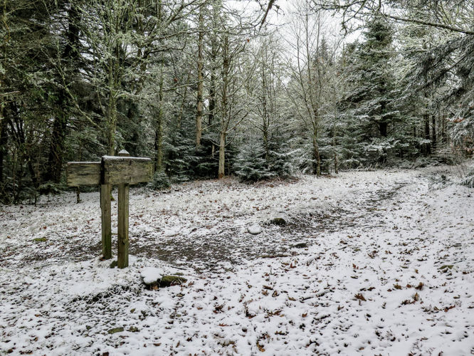 Picture 8 of Mount Sterling Hike 111917