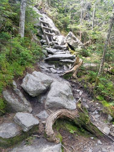 Picture 15 of Mount Washington via Ammonoosuc Ravine Trail and Jewell Trail