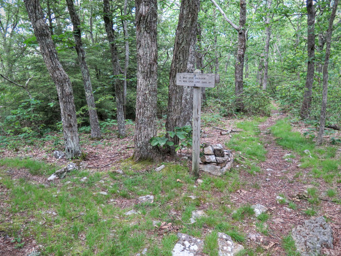 Picture 7 of Mountain Lake Wilderness Hike 070116