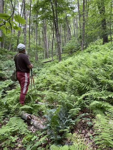 Alvie taking in the "tropical-feeling" fern-covered mountain hollow