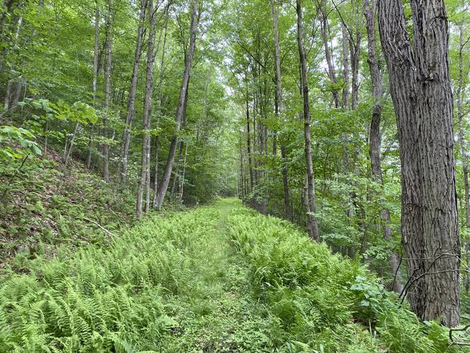 Gently-sloping grade of the old railroad bed