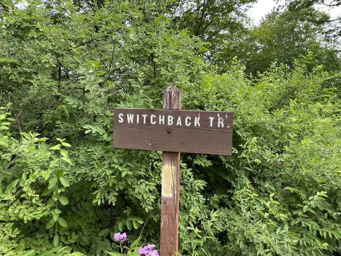 Switchback Trail trailhead sign along PA-44