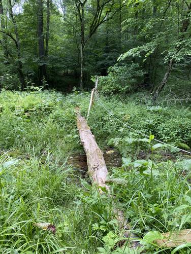Log and rope bridge for creek crossing over Hogback Hollow Run