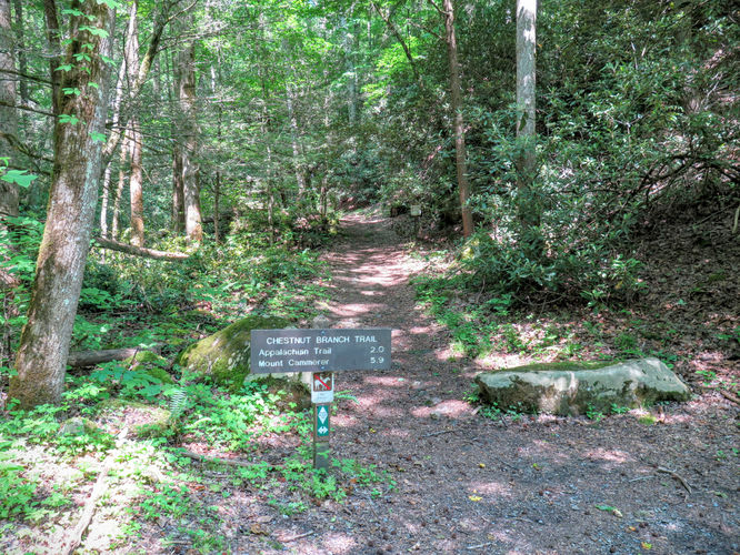 Picture 80 of Mt Cammerer and Big Creek Hike 052816