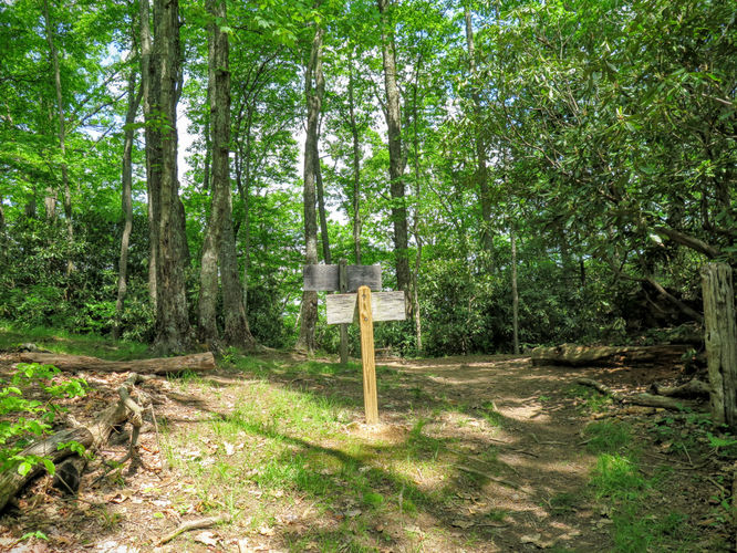 Picture 76 of Mt Cammerer and Big Creek Hike 052816