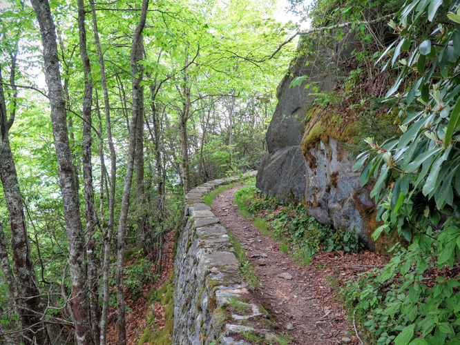 Picture 71 of Mt Cammerer and Big Creek Hike 052816