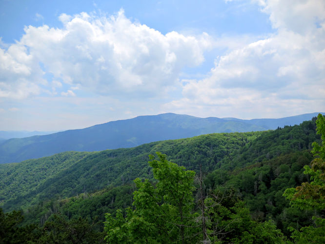 Picture 70 of Mt Cammerer and Big Creek Hike 052816