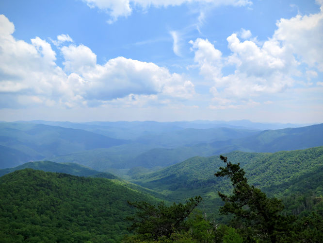 Picture 69 of Mt Cammerer and Big Creek Hike 052816