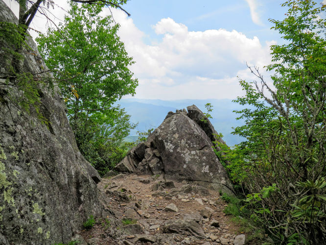 Picture 67 of Mt Cammerer and Big Creek Hike 052816