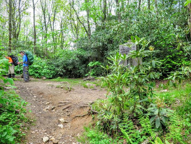 Picture 66 of Mt Cammerer and Big Creek Hike 052816