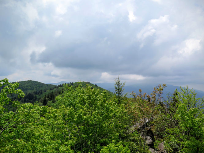Picture 56 of Mt Cammerer and Big Creek Hike 052816