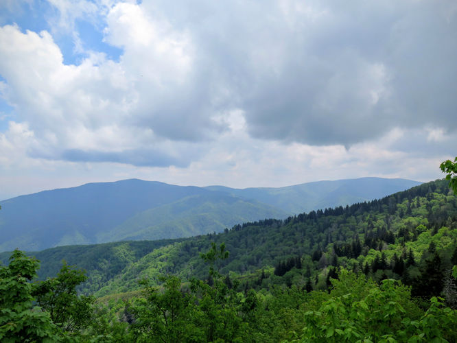 Picture 54 of Mt Cammerer and Big Creek Hike 052816