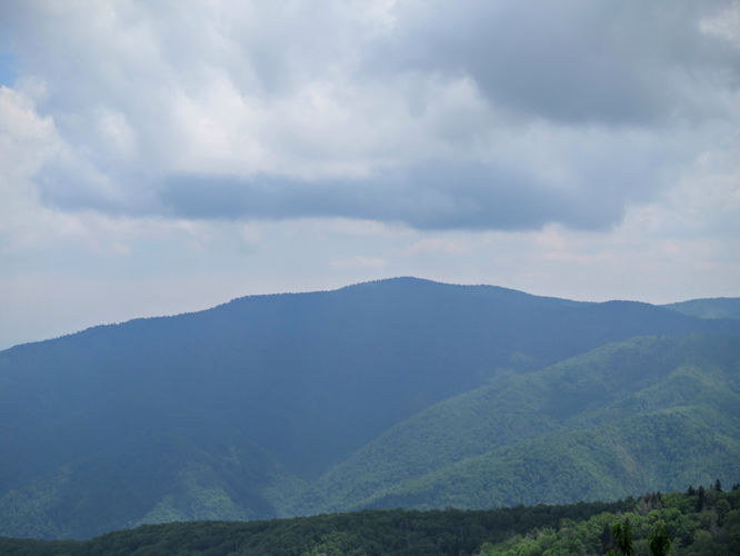 Picture 53 of Mt Cammerer and Big Creek Hike 052816