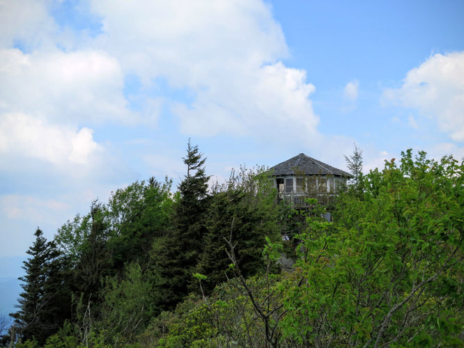 Picture 48 of Mt Cammerer and Big Creek Hike 052816
