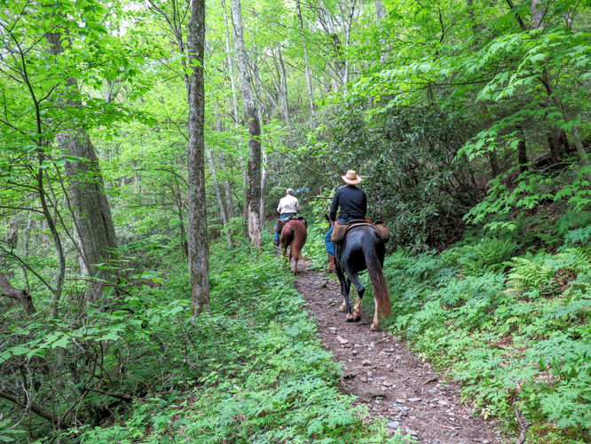 Picture 40 of Mt Cammerer and Big Creek Hike 052816