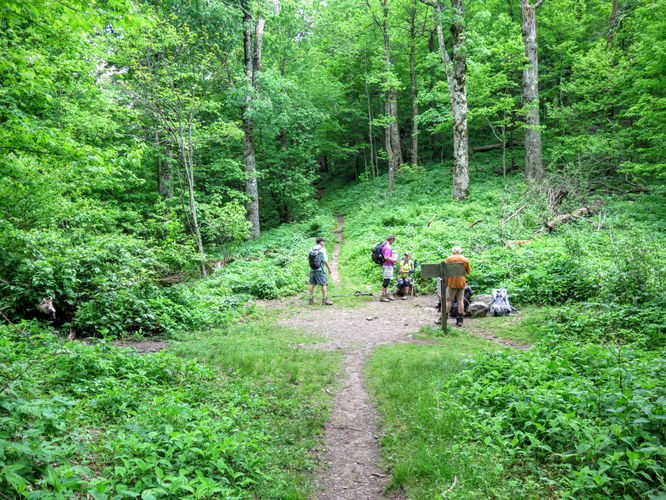 Picture 38 of Mt Cammerer and Big Creek Hike 052816