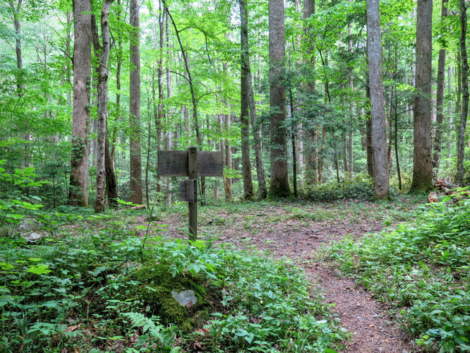 Picture 33 of Mt Cammerer and Big Creek Hike 052816