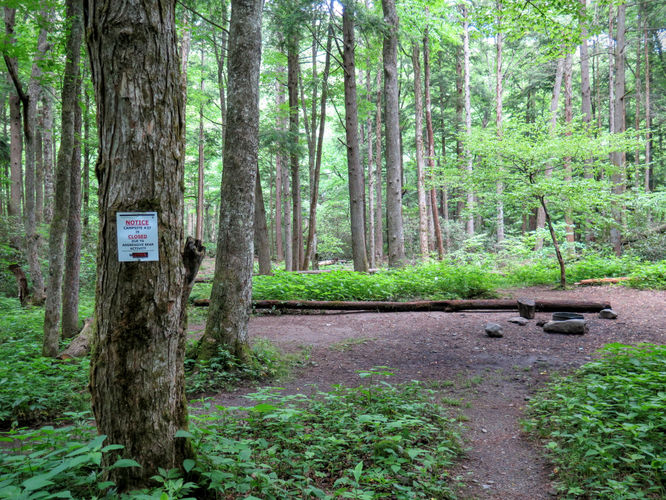 Picture 32 of Mt Cammerer and Big Creek Hike 052816