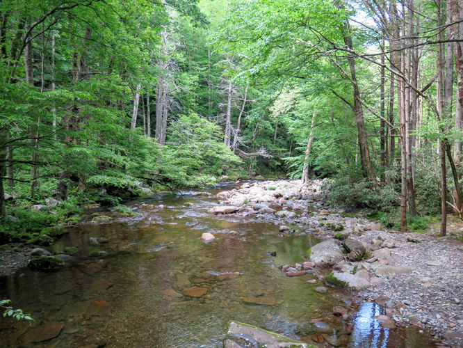 Picture 28 of Mt Cammerer and Big Creek Hike 052816