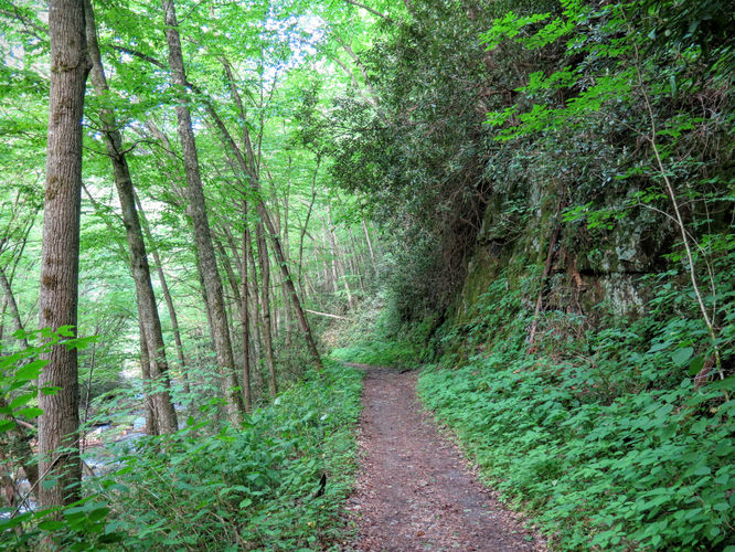 Picture 20 of Mt Cammerer and Big Creek Hike 052816