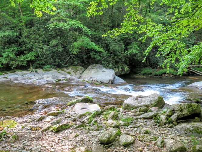 Picture 19 of Mt Cammerer and Big Creek Hike 052816