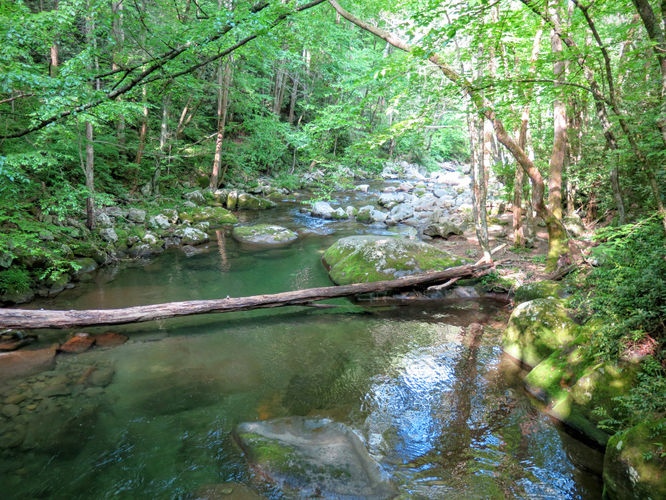 Picture 17 of Mt Cammerer and Big Creek Hike 052816