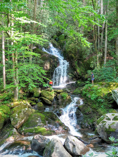 Picture 15 of Mt Cammerer and Big Creek Hike 052816