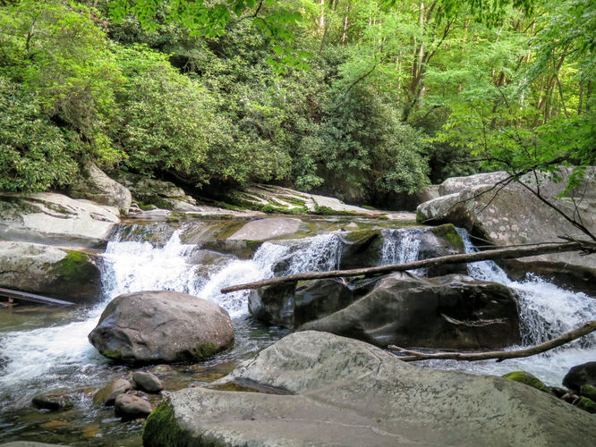Picture 8 of Mt Cammerer and Big Creek Hike 052816