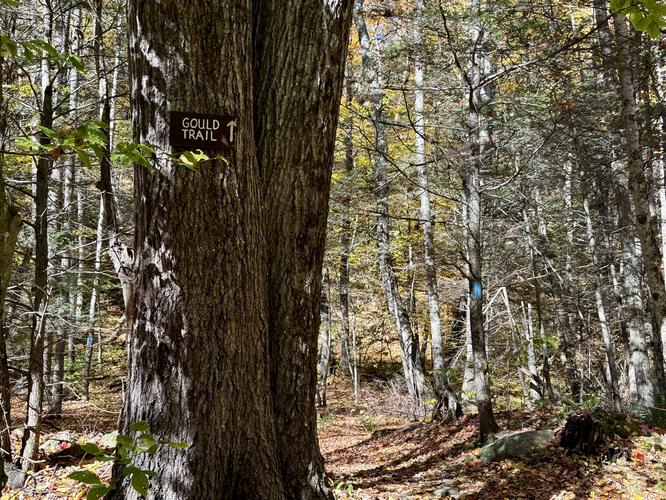 Picture 4 of Mt Greylock via Gould Trail Oct 18 2026