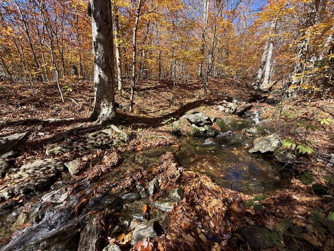 Picture 11 of Mt Greylock via Gould Trail Oct 18 2026