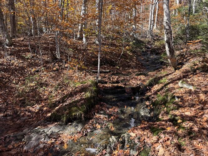 Picture 15 of Mt Greylock via Gould Trail Oct 18 2026