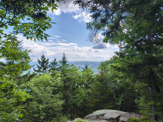 View from the trail 