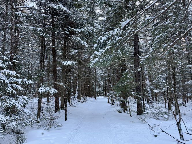 Hiking in from the Loj via Van Hoevenberg Trail