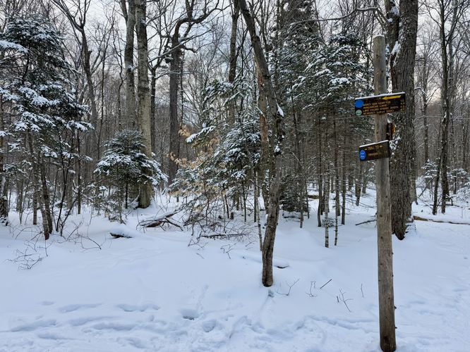 Keep left for Mt Marcy