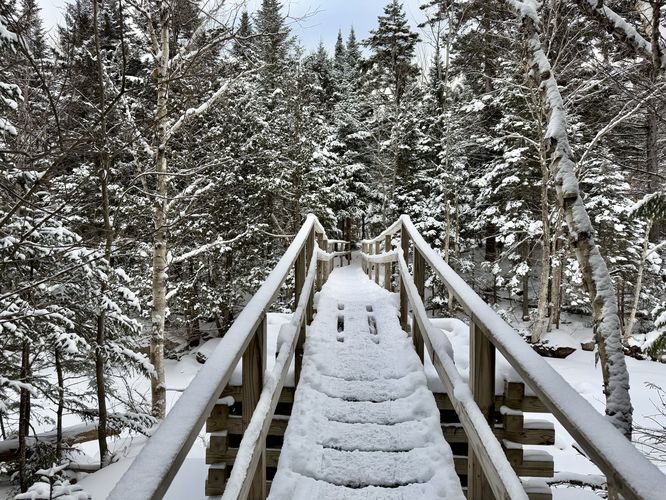 Footbridge crosses Marcy Brook