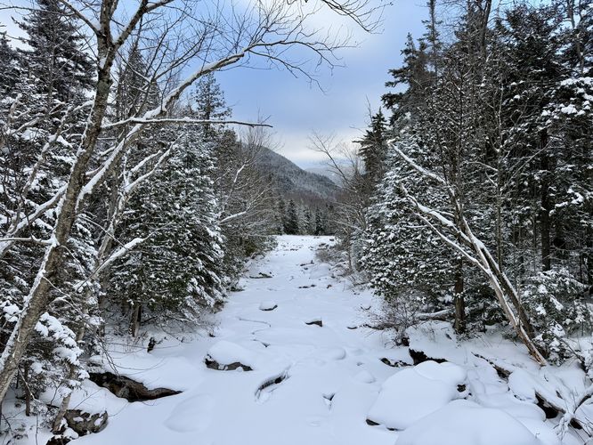 View of Marcy Brook from the footbridge