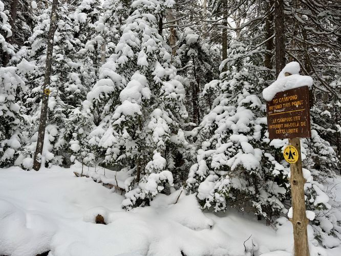 Last campsite on trail
