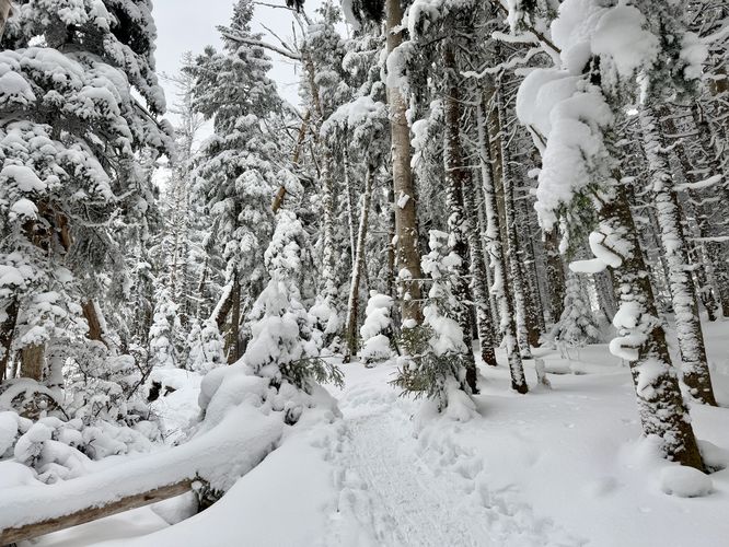Winter wonderland hiking up to Mt Marcy