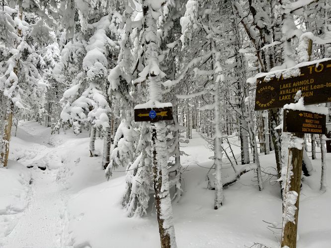 Follow blue blazes to Mt Marcy from Indian Falls