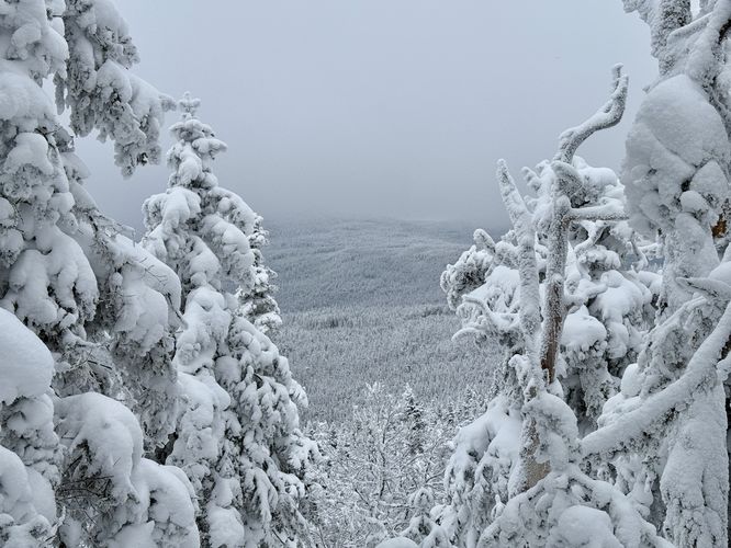View / Overlook / Vista