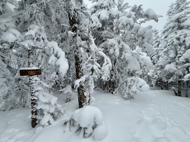 Follow more signs to Mt Marcy