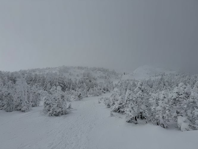 Trees buried in snow atop Mt Marcy with hikers in the distance