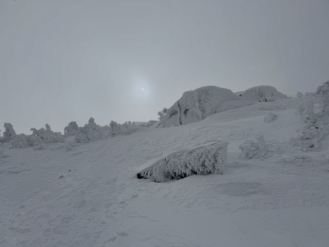 Ascending Mt Marcy with ice and snow-covered bedrock and trees
